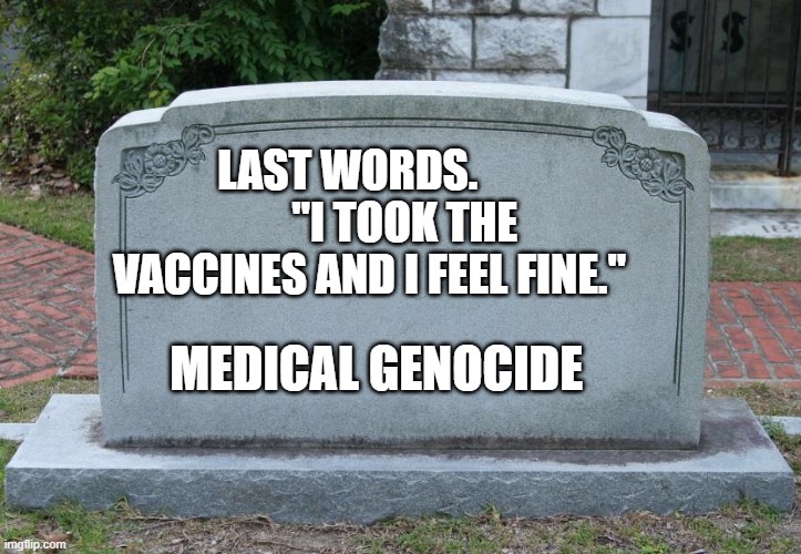 Gravestone | LAST WORDS.              "I TOOK THE VACCINES AND I FEEL FINE."; MEDICAL GENOCIDE | image tagged in gravestone | made w/ Imgflip meme maker