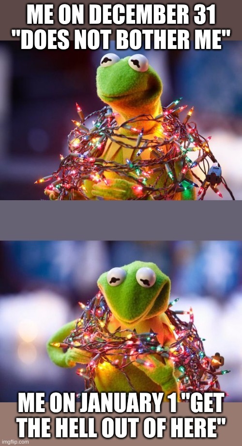 December ends, the lights go back to storage | ME ON DECEMBER 31 "DOES NOT BOTHER ME"; ME ON JANUARY 1 "GET THE HELL OUT OF HERE" | image tagged in kermit and christmas lights | made w/ Imgflip meme maker