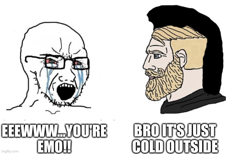 Soyboy Vs Yes Chad | BRO IT'S JUST COLD OUTSIDE; EEEWWW...YOU'RE EMO!! | image tagged in soyboy vs yes chad | made w/ Imgflip meme maker