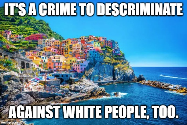 Anti-White is Descrimination | IT'S A CRIME TO DESCRIMINATE; AGAINST WHITE PEOPLE, TOO. | image tagged in seriously | made w/ Imgflip meme maker