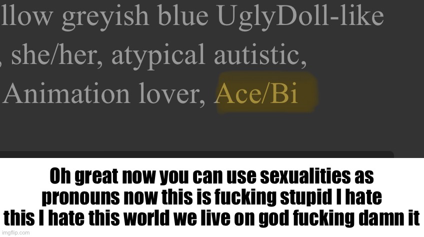 This is a /j but also HOW THE FUCK IS SOMEONE ACE AND BI AT THE SAME TIME | Oh great now you can use sexualities as pronouns now this is fucking stupid I hate this I hate this world we live on god fucking damn it | made w/ Imgflip meme maker