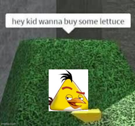 lettuce | image tagged in lettuce,angry birds,roblox meme | made w/ Imgflip meme maker