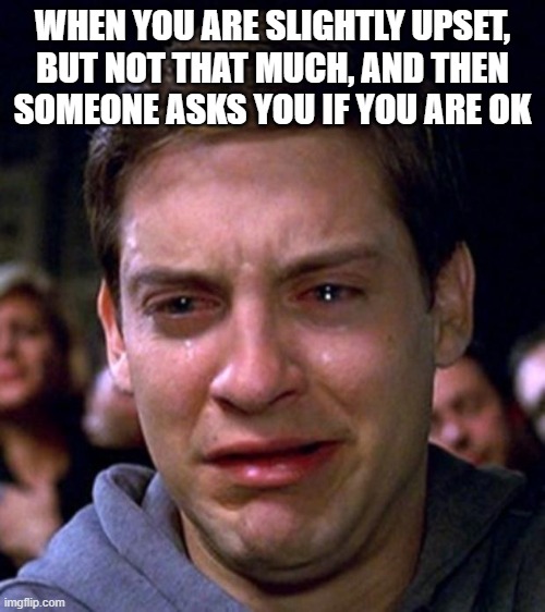 the tears just start running even if i am not that sad because of embarrassment | WHEN YOU ARE SLIGHTLY UPSET, BUT NOT THAT MUCH, AND THEN SOMEONE ASKS YOU IF YOU ARE OK | image tagged in crying peter parker | made w/ Imgflip meme maker