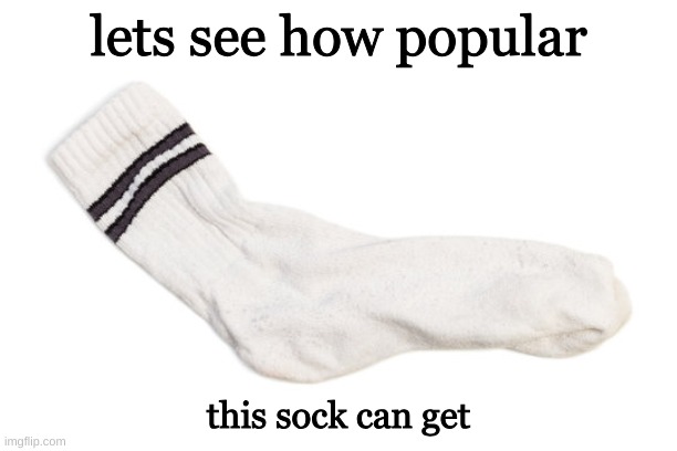 Lets see how popular this sock can get | lets see how popular; this sock can get | image tagged in socks,sock | made w/ Imgflip meme maker