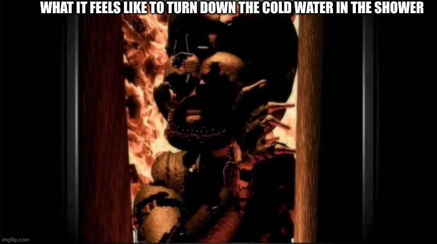 OW OW OW OW OW | WHAT IT FEELS LIKE TO TURN DOWN THE COLD WATER IN THE SHOWER | image tagged in micheal don't leave me here,fnaf,shower,relatable | made w/ Imgflip meme maker