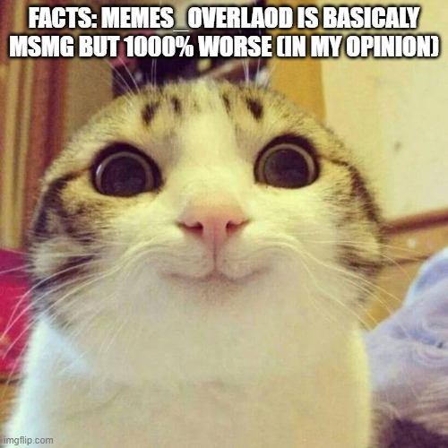 REEEEEEEEEEEEEEEEEEEEEEEEE | FACTS: MEMES_OVERLAOD IS BASICALY MSMG BUT 1000% WORSE (IN MY OPINION) | image tagged in memes,smiling cat | made w/ Imgflip meme maker
