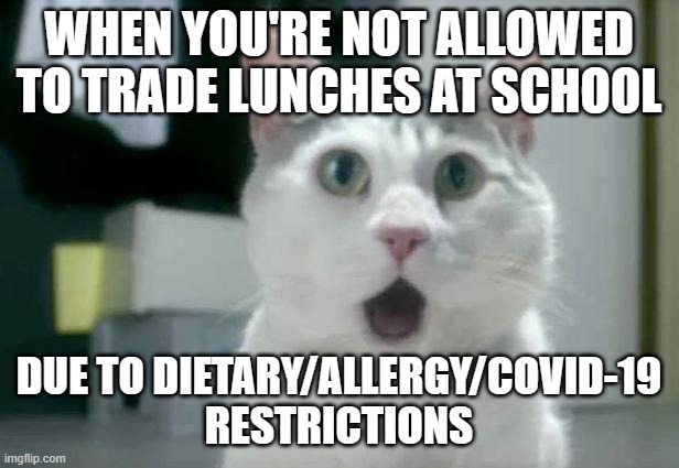 So you have no choice but to eat that leftover meatloaf sandwich. | WHEN YOU'RE NOT ALLOWED TO TRADE LUNCHES AT SCHOOL; DUE TO DIETARY/ALLERGY/COVID-19 RESTRICTIONS | image tagged in memes,omg cat,lunch,school lunch,rules,not a true story | made w/ Imgflip meme maker