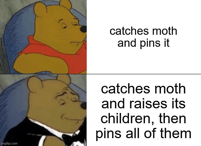 please don't | catches moth and pins it; catches moth and raises its children, then pins all of them | image tagged in memes,tuxedo winnie the pooh,insects | made w/ Imgflip meme maker