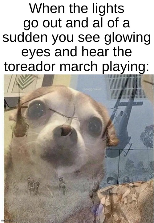 PTSD Chihuahua | When the lights go out and al of a sudden you see glowing eyes and hear the toreador march playing: | image tagged in ptsd chihuahua,five nights at freddys,fnaf | made w/ Imgflip meme maker