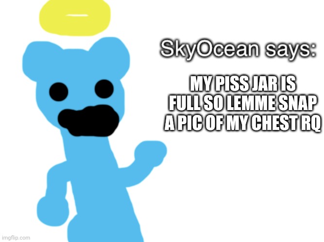 SkyOcean69420 says | MY PISS JAR IS FULL SO LEMME SNAP A PIC OF MY CHEST RQ | image tagged in skyocean69420 says | made w/ Imgflip meme maker