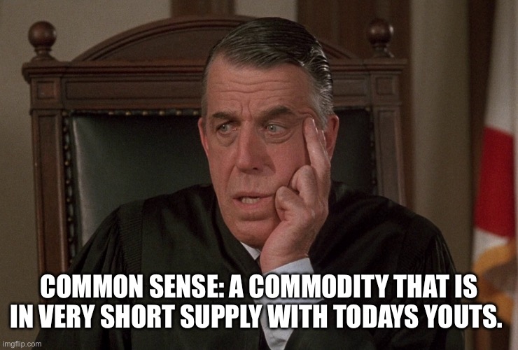 Fred Gwynne | COMMON SENSE: A COMMODITY THAT IS IN VERY SHORT SUPPLY WITH TODAYS YOUTS. | image tagged in fred gwynne | made w/ Imgflip meme maker