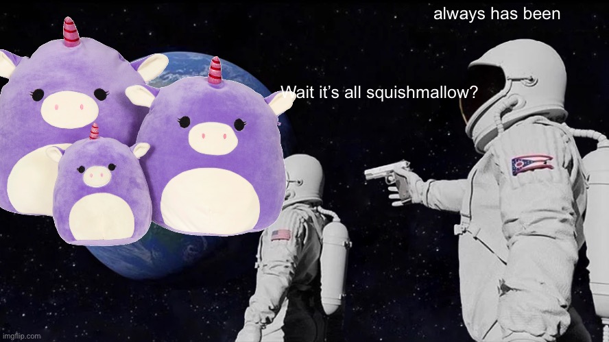 What did i make | always has been; Wait it’s all squishmallow? | image tagged in memes,always has been | made w/ Imgflip meme maker