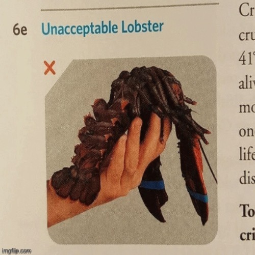 Unacceptable lobster | made w/ Imgflip meme maker