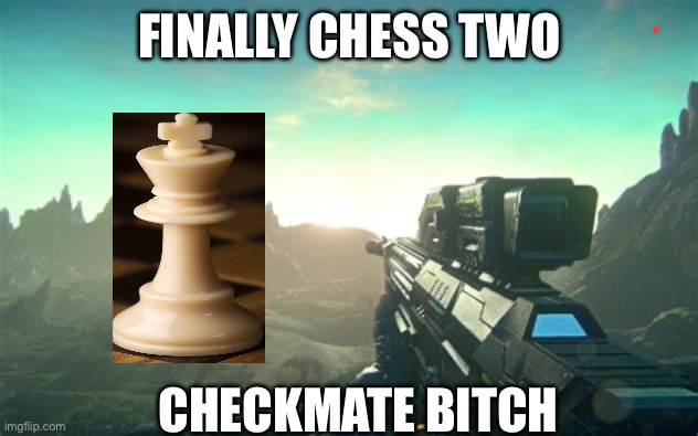 First person shooter | FINALLY CHESS TWO; CHECKMATE BITCH | image tagged in first person shooter | made w/ Imgflip meme maker