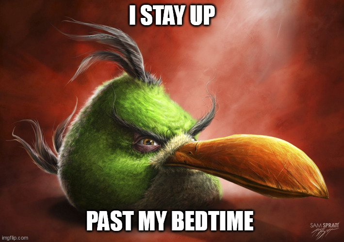 Realistic Angry Bird | I STAY UP; PAST MY BEDTIME | image tagged in realistic angry bird | made w/ Imgflip meme maker