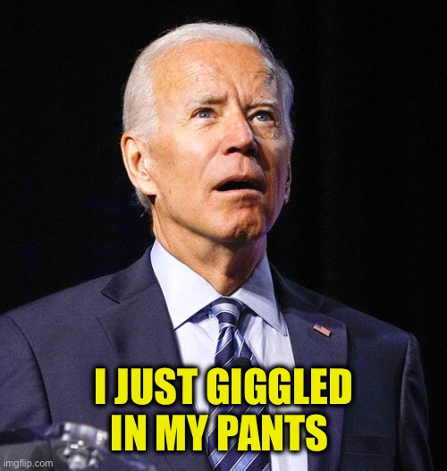 Joe Biden | I JUST GIGGLED IN MY PANTS | image tagged in joe biden | made w/ Imgflip meme maker