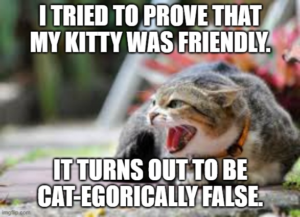 meme by Brad friendly cat | I TRIED TO PROVE THAT MY KITTY WAS FRIENDLY. IT TURNS OUT TO BE CAT-EGORICALLY FALSE. | image tagged in cat meme | made w/ Imgflip meme maker
