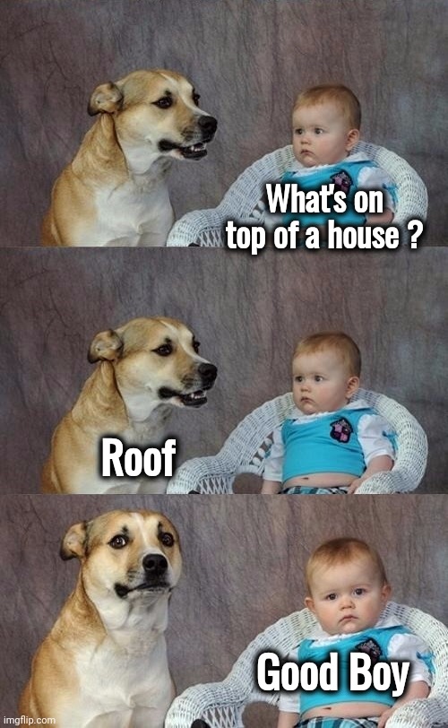Dad Joke Dog 2 | What's on top of a house ? Roof Good Boy | image tagged in dad joke dog 2 | made w/ Imgflip meme maker