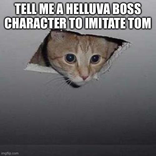 Yes | TELL ME A HELLUVA BOSS CHARACTER TO IMITATE TOMORROW | image tagged in memes,ceiling cat | made w/ Imgflip meme maker
