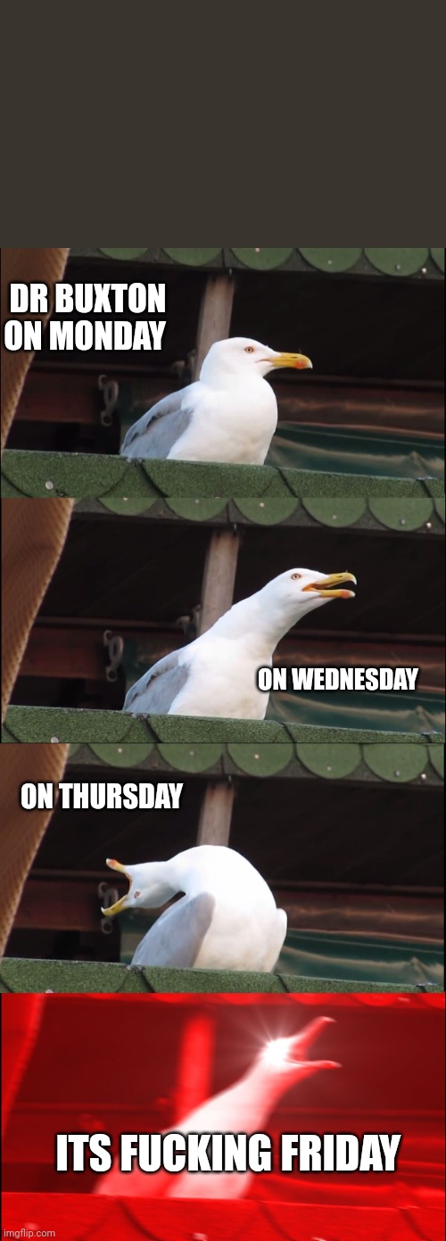 Inhaling Seagull Meme | DR BUXTON ON MONDAY; ON WEDNESDAY; ON THURSDAY; ITS FUCKING FRIDAY | image tagged in memes,inhaling seagull | made w/ Imgflip meme maker