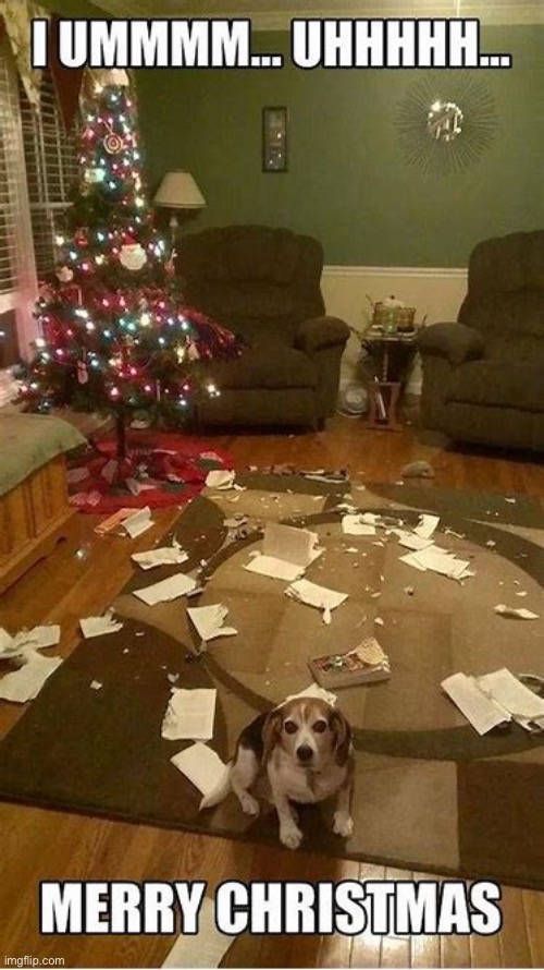 someone’s in trouble… | image tagged in funny,christmas,dog,christmas tree | made w/ Imgflip meme maker