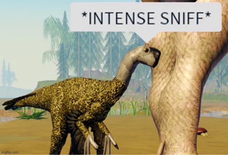 Intense sniff | image tagged in intense sniff | made w/ Imgflip meme maker