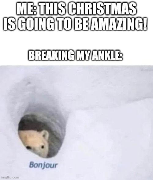 Just what I wanted for Christmas . . . | ME: THIS CHRISTMAS IS GOING TO BE AMAZING! BREAKING MY ANKLE: | image tagged in bonjour | made w/ Imgflip meme maker