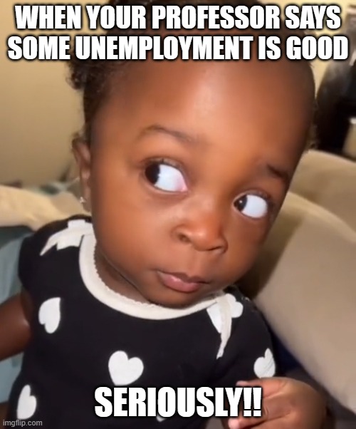 Bombastic side eye | WHEN YOUR PROFESSOR SAYS SOME UNEMPLOYMENT IS GOOD; SERIOUSLY!! | image tagged in bombastic side eye | made w/ Imgflip meme maker