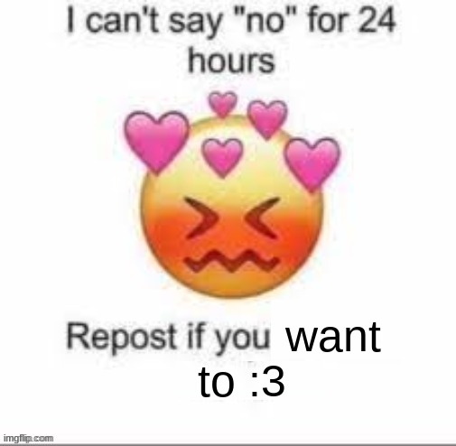Can't say no for 24 hours | to :3; want | image tagged in can't say no for 24 hours | made w/ Imgflip meme maker