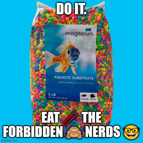 Do it. | DO IT. EAT 🥢 THE FORBIDDEN 🙈 NERDS 🤓 | image tagged in aquarium gravel,nerds,nerd emoji | made w/ Imgflip meme maker