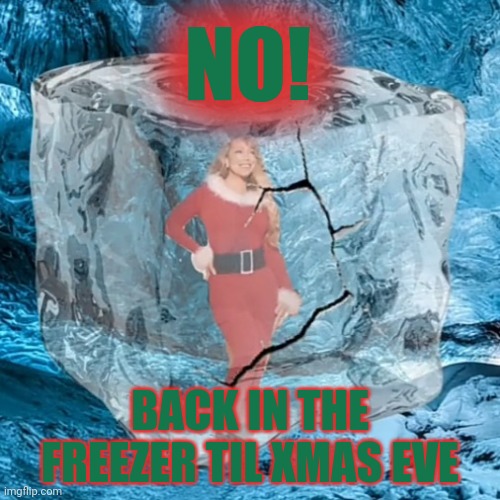 Friggin xmas music | NO! BACK IN THE FREEZER TIL XMAS EVE | image tagged in mariah defrosting,stop it get some help,xmas,music | made w/ Imgflip meme maker