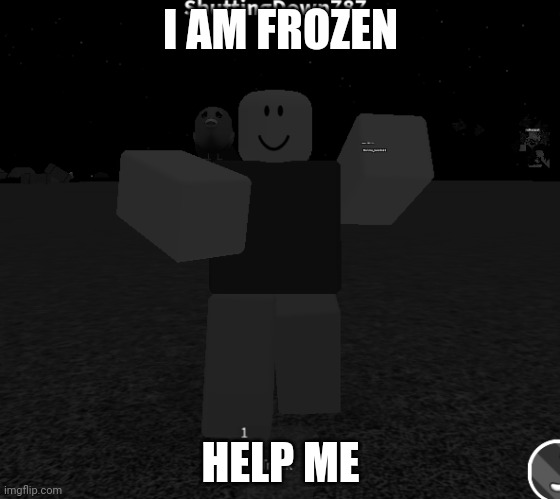 A robloxian frozen in time | I AM FROZEN; HELP ME | image tagged in memes | made w/ Imgflip meme maker