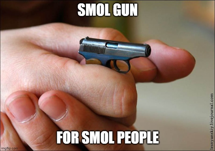 tiny gun | SMOL GUN; FOR SMOL PEOPLE | image tagged in tiny gun | made w/ Imgflip meme maker