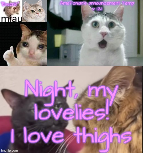 AmeTonian's announcement Temp v 1.2.1 | Night, my lovelies!
I love thighs | image tagged in ametonian's announcement temp v 1 2 1 | made w/ Imgflip meme maker