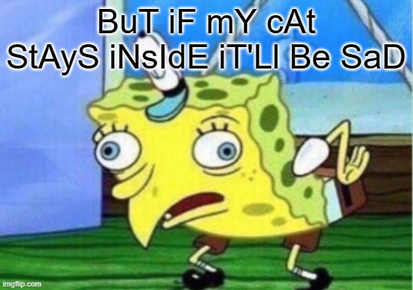 Sure, because cat toys and enrichment that isn't neglecting your cat doesn't exist. STFU, and keep your cat inside, ffs. | BuT iF mY cAt StAyS iNsIdE iT'Ll Be SaD | image tagged in memes,mocking spongebob | made w/ Imgflip meme maker