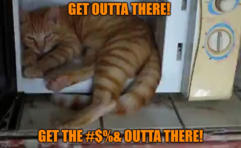 Depressed cat problems | GET OUTTA THERE! GET THE #$%& OUTTA THERE! | image tagged in depressed cat,problems,stop it get some help | made w/ Imgflip meme maker