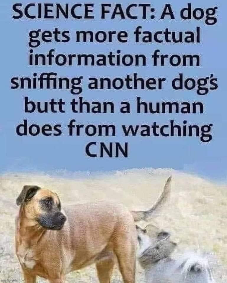 TRUTH is often funnier than fiction. Follow me for more TRUTH & Science. | image tagged in truth,the scroll of truth,follow the science,cnn fake news,clinton news network,cnn crazy news network | made w/ Imgflip meme maker