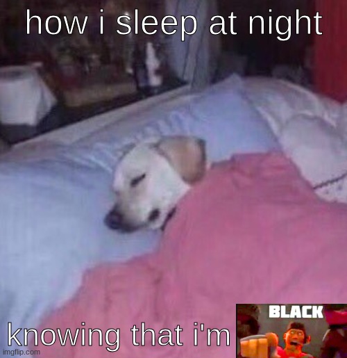 How I sleep at night | how i sleep at night knowing that i'm | image tagged in how i sleep at night | made w/ Imgflip meme maker