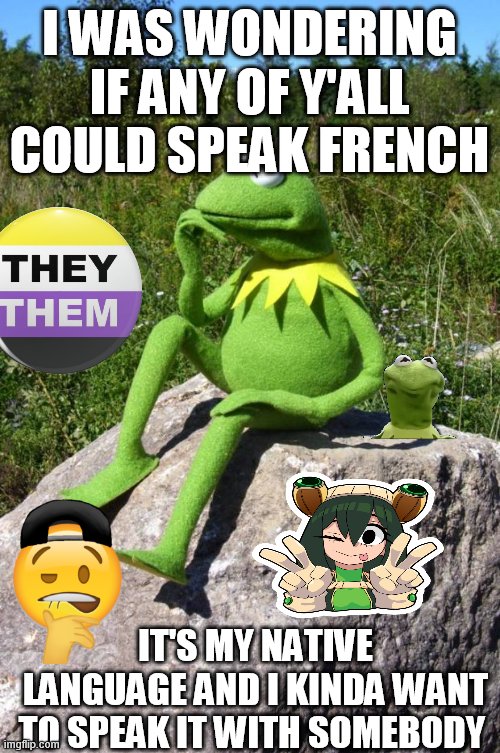 random template but still,I want French friends | I WAS WONDERING IF ANY OF Y'ALL COULD SPEAK FRENCH; IT'S MY NATIVE LANGUAGE AND I KINDA WANT TO SPEAK IT WITH SOMEBODY | image tagged in kermit-thinking | made w/ Imgflip meme maker