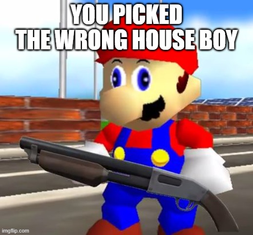 SMG4 Shotgun Mario | YOU PICKED THE WRONG HOUSE BOY | image tagged in smg4 shotgun mario | made w/ Imgflip meme maker