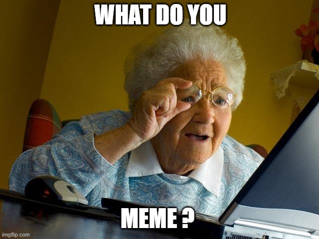 Grandma can't see | WHAT DO YOU; MEME ? | image tagged in memes,grandma finds the internet | made w/ Imgflip meme maker