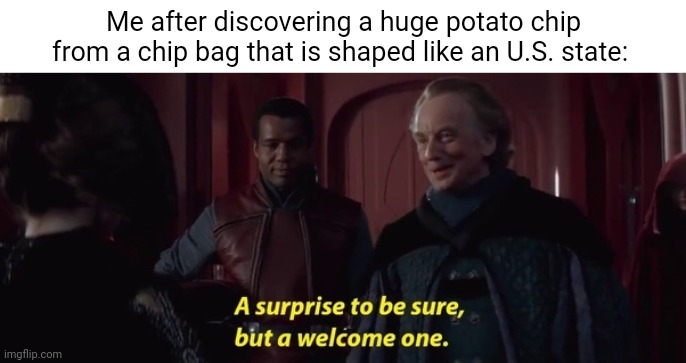 Potato chip | Me after discovering a huge potato chip from a chip bag that is shaped like an U.S. state: | image tagged in a surprise to be sure,potato chip,memes,blank white template,i've looked at this for 5 hours now,oh it's beautiful | made w/ Imgflip meme maker