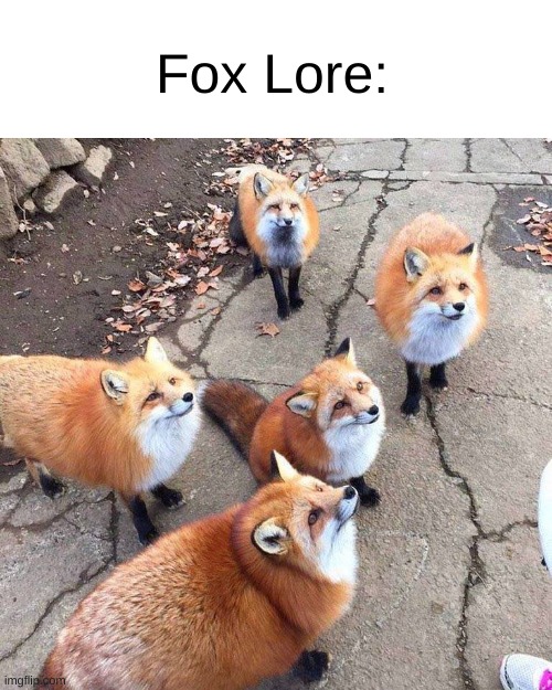 Fox Skulk | Fox Lore: | image tagged in lore,cute,wholesome,funny,memes,fox | made w/ Imgflip meme maker