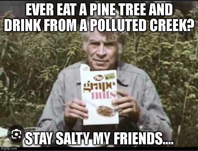 EVER EAT A PINE TREE AND DRINK FROM A POLLUTED CREEK? STAY SALTY MY FRIENDS.... | image tagged in funny memes | made w/ Imgflip meme maker