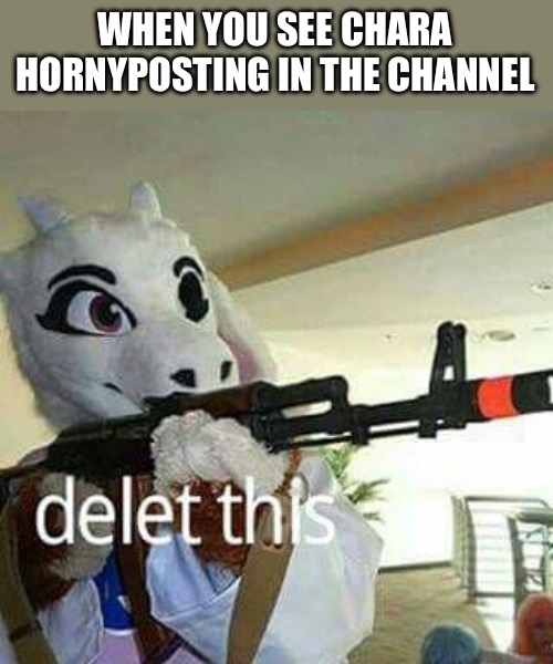 Toriel Delete This | WHEN YOU SEE CHARA HORNYPOSTING IN THE CHANNEL | image tagged in toriel delete this,toriel,chara,hornyposting,undertale,fandom | made w/ Imgflip meme maker