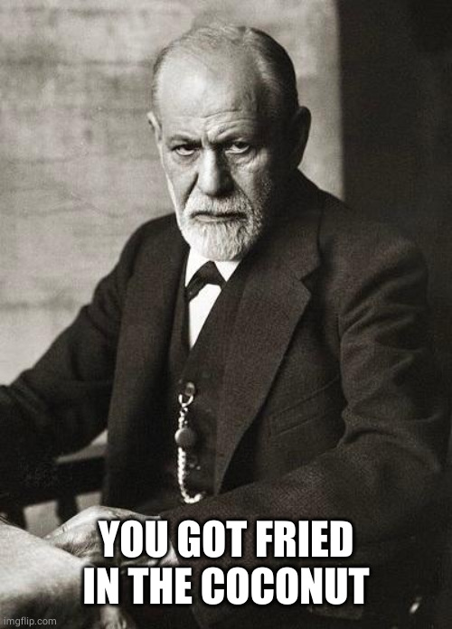 Freud | YOU GOT FRIED IN THE COCONUT | image tagged in freud | made w/ Imgflip meme maker