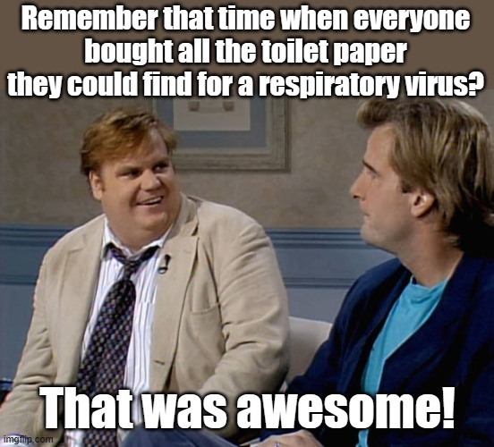 At least they weren't buying ammo...LOL! | Remember that time when everyone bought all the toilet paper they could find for a respiratory virus? That was awesome! | image tagged in remember that time | made w/ Imgflip meme maker