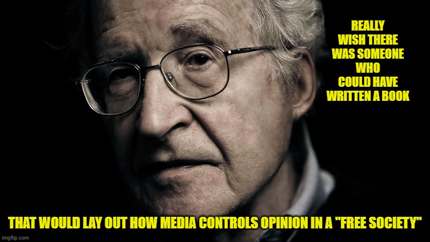 Noam Chomsky | REALLY WISH THERE WAS SOMEONE WHO COULD HAVE WRITTEN A BOOK THAT WOULD LAY OUT HOW MEDIA CONTROLS OPINION IN A "FREE SOCIETY" | image tagged in noam chomsky | made w/ Imgflip meme maker