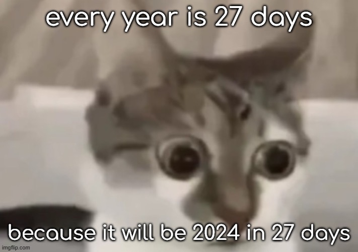 what is bro yapping about | every year is 27 days; because it will be 2024 in 27 days | image tagged in bombastic side eye cat | made w/ Imgflip meme maker