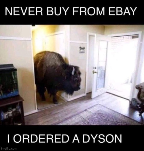 Dyson | image tagged in bad pun | made w/ Imgflip meme maker